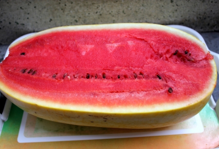 yellow-skinned watermelon Vishal, Citrullus lanatus, oblong shaped watermelon with yellow skin mottled with irregular orange stripes  The flesh is red, crisp and sweet の写真素材