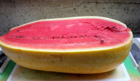 yellow-skinned watermelon Vishal, Citrullus lanatus, oblong shaped watermelon with yellow skin mottled with irregular orange stripes  The flesh is red, crisp and sweet の写真素材