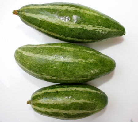 Pointed gourd, parwal, Trichosanthes dioica, an annual vine with unlobed leaves, white beautiful flowers and 5-12 cm long fruits pointed at ends, green with white stripes  Used as vegetable の写真素材