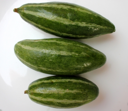 Pointed gourd, parwal, Trichosanthes dioica, an annual vine with unlobed leaves, white beautiful flowers and 5-12 cm long fruits pointed at ends, green with white stripes  Used as vegetable の写真素材