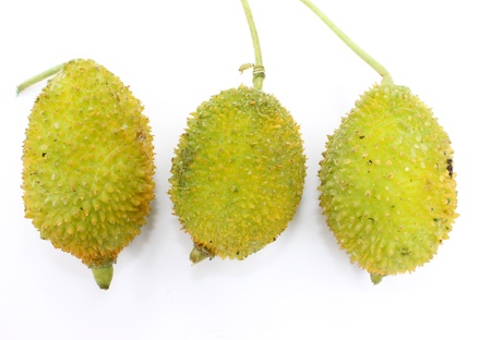teasel gourdの写真素材