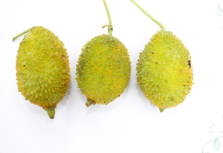 teasel gourdの写真素材