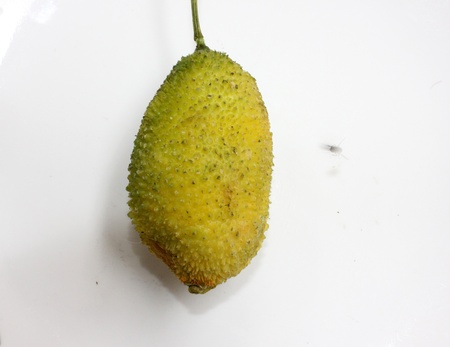 teasel gourdの写真素材