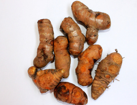 Tumeric, Curcuma longa, Haldi, Zingiberaceae, rhizomatous plant, the yellow coloured branched rhizomes are used as spice, colouring matter and in medicine の写真素材