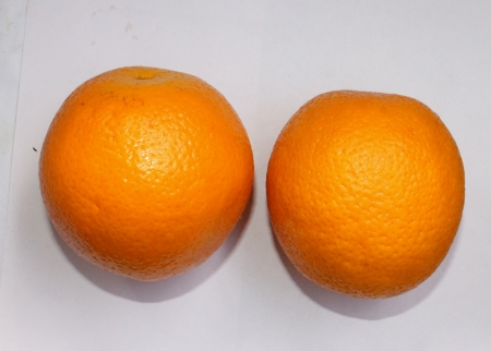 Malta, Citrus sinensis, a popular fruit grown in Foothills of NW Himalayas with globose orange fruit with orange-yellow pulp, sweet and delicious  の写真素材