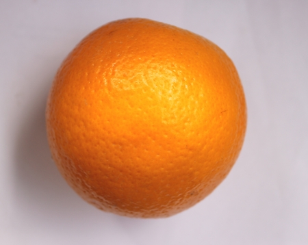 Malta, Citrus sinensis, a popular fruit grown in Foothills of NW Himalayas with globose orange fruit with orange-yellow pulp, sweet and delicious  の写真素材