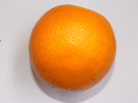 Malta, Citrus sinensis, a popular fruit grown in Foothills of NW Himalayas with globose orange fruit with orange-yellow pulp, sweet and delicious  の写真素材