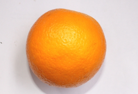 Malta, Citrus sinensis, a popular fruit grown in Foothills of NW Himalayas with globose orange fruit with orange-yellow pulp, sweet and delicious  の写真素材