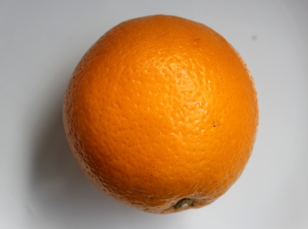 Malta, Citrus sinensis, a popular fruit grown in Foothills of NW Himalayas with globose orange fruit with orange-yellow pulp, sweet and delicious  の写真素材