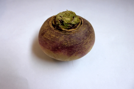 Turnip, purple top turnip, white turnip, Brassica rapa subsp  rapa, winter vegetable with tuberous globose root having white flesh  Cooked as vegetable の写真素材