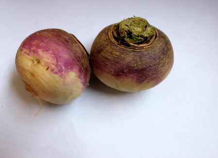 Turnip, purple top turnip, white turnip, Brassica rapa subsp  rapa, winter vegetable with tuberous globose root having white flesh  Cooked as vegetable の写真素材