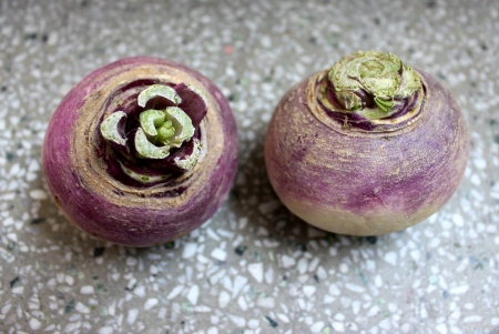 Turnip, purple top turnip, white turnip, Brassica rapa subsp  rapa, winter vegetable with tuberous globose root having white flesh  Cooked as vegetable の写真素材