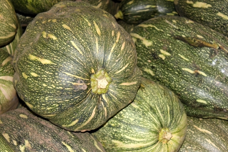 Ayote squash, kadu, Cucurbita moschata, globose to oblong fruit with tough green skin with yellowish-white spots, turning brown when mature  Flesh is initially white, turning yellow when mature  Widely used as vegetableの写真素材