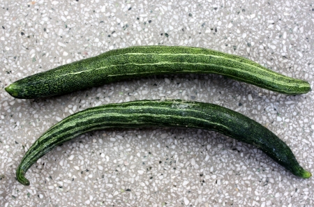 snake gourdの写真素材