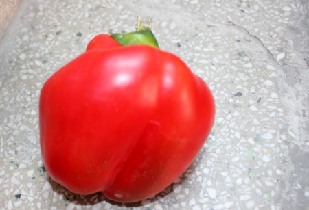 Red Sweet pepper, Capsicum annuum, annual herb with bell-shaped drooping fruits turning from green to yellow and finally red when mature  Extensively used in salads, stuffed and several other recipes, especially stir-fried の写真素材