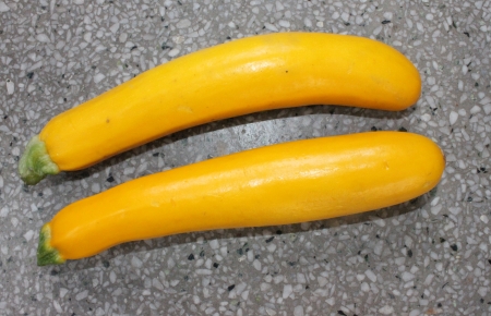 Golden zucchiniの写真素材