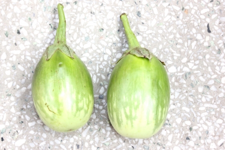 Green variegated Brinjal, Solanum melongena, Solanaceae, cultivated plants with purple flowers, F1 hybrid with green oval fruits creamish-yellow variegated in distal half, vegetable の写真素材