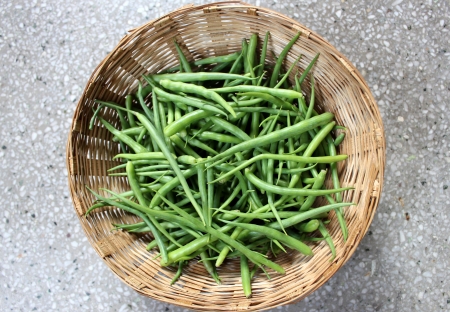 Short rat tail radish pods, Raphanus caudatus, plant, 6 12 cm long pods, plumpy, constricted, seeds, 2 5 cm long tail, salad, vegetableの写真素材