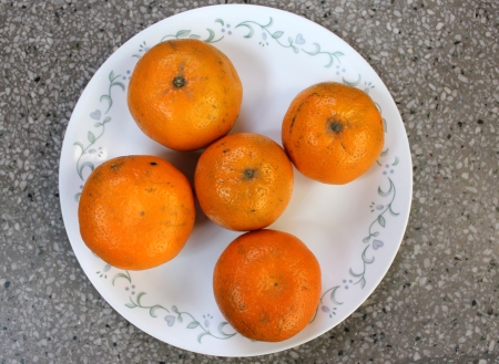 Kinnow, Citrus reticulataの写真素材