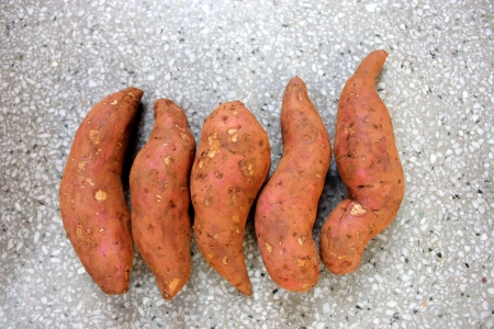 Sweet potato, shakar kandi, Ipomoea batatas, Convolvulaceae, a vine producing tuberous roots eaten after baking, used in chat preparations の写真素材