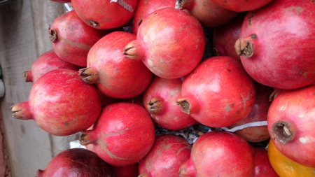 Pomegranate, Punica granatum, anar, nearly globose fruit with crown at tip, fleshy seeds are eaten raw, dried and powdered seeds as spice and condiment の写真素材