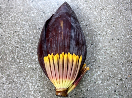 Banana male inflorescenceの写真素材