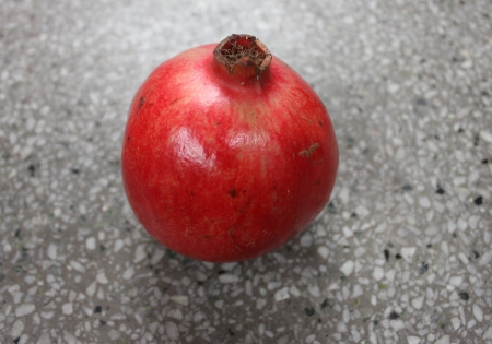  Punica granatumの写真素材