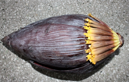 Banana male の写真素材