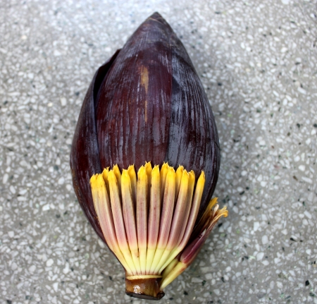 Banana male の写真素材