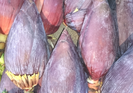 Banana male inflorescence as vegetable  の写真素材