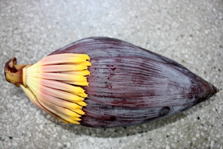 Banana male inflorescence, plantain, French plantain, Kela, Musa x paradisiaca, red terminal inflorescence with large fleshy red bracts enclosing two rowed flowers is cooked as a vegetable  の写真素材