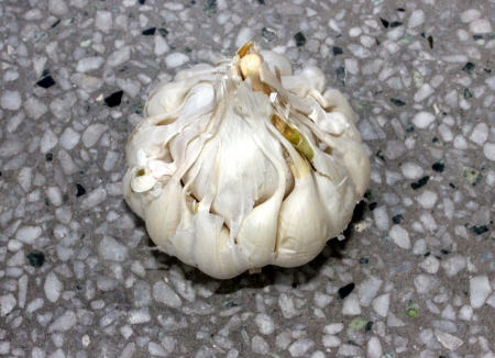 artichoke garlicの写真素材