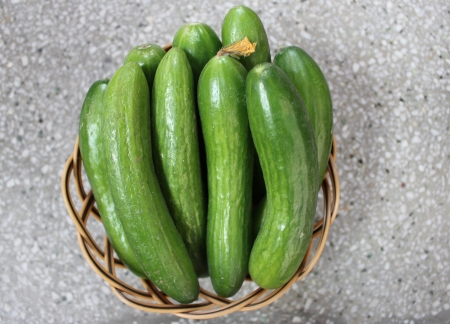 Persian cucumber, Cucumis sativus, burpless thin skinned cucumber with bumpy skin, consumed without removing skin の写真素材