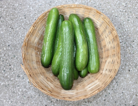 Persian cucumber, Cucumis sativus, burpless thin skinned cucumber with bumpy skin, consumed without removing skin の写真素材