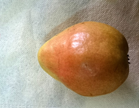 Comice pear, Pyrus communis, sweet juicy pear with greenish yellow fruit with red blush and short neck の写真素材