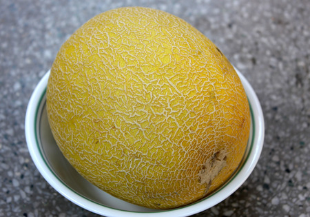 Galia melon, Sarda in India and Persia, Cucumis melo var  reticulatusの写真素材