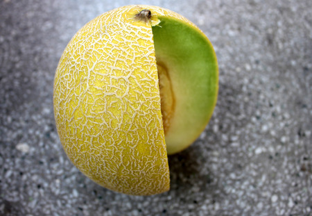 Galia melon, Sarda in India and Persia, Cucumis melo var  reticulatusの写真素材