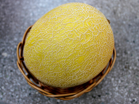 Galia melonの写真素材