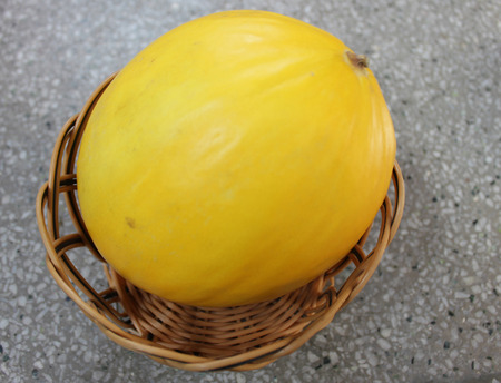 Canary melonの写真素材