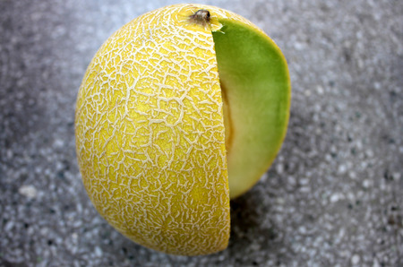 Galia melonの写真素材