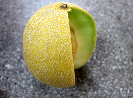 Galia melonの写真素材