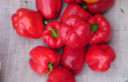 Red sweet pepperの写真素材