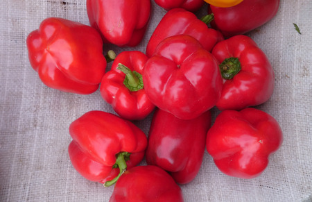 Red sweet pepperの写真素材