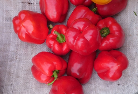 Red sweet pepperの写真素材