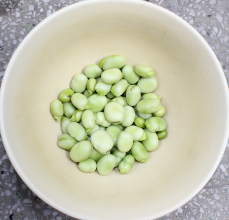 Broad bean, faba bean, fava bean, Vicia faba, Cultivated herb with pinnate leaves, creamish-white...