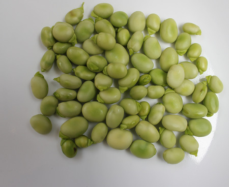 Broad bean, faba bean, fava bean, Vicia faba, Cultivated herb with pinnate leaves, creamish-white...