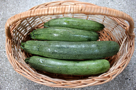 Australian Green Summer squash, cultivar with dark green fruit with light coloured dots, small patches and fiant stripes, narrowed at attachment end, tender with delicious flesh, 20-30 cm long, vegetableの写真素材