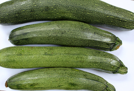 Australian Green Summer squash, cultivar with dark green fruit with light coloured dots, small patches and fiant stripes, narrowed at attachment end, tender with delicious flesh, 20-30 cm long, vegetableの写真素材