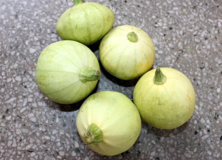Chapan kadu PUSA DS 8, Cucurbita pepo, a summer squash with yellowish green young fruits with faint green linesの写真素材