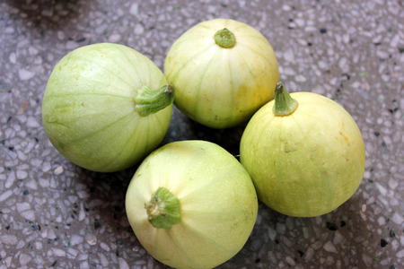 Chapan kadu PUSA DS 8, Cucurbita pepo, a summer squash with yellowish green young fruits with faint green linesの写真素材